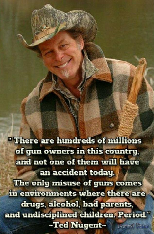 Gun owners